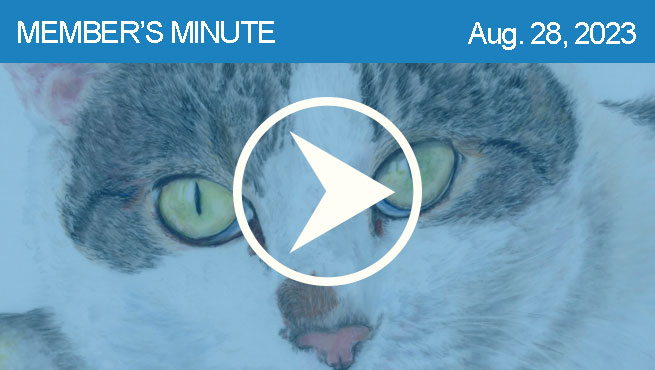 彩色铅笔绘制批判