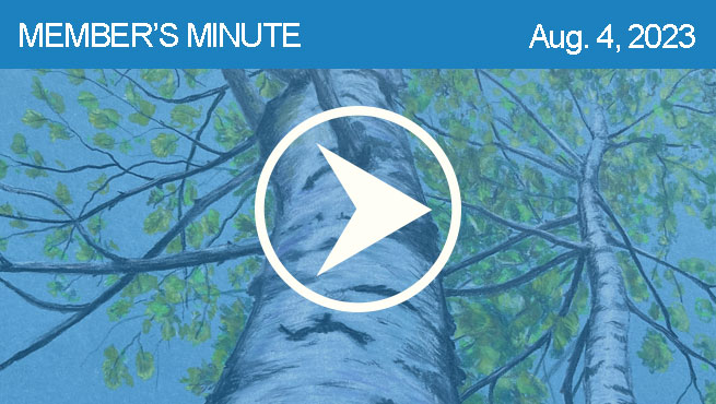 彩色铅笔绘制批判