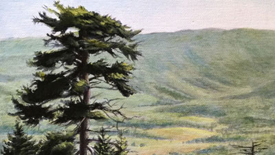 玻璃与丙烯酸第一部分