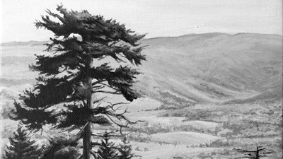 与丙烯酸第1部分底层色