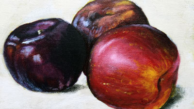 丙烯酸静物系列课