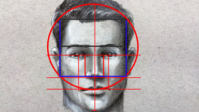 如何画出基本的面部比例