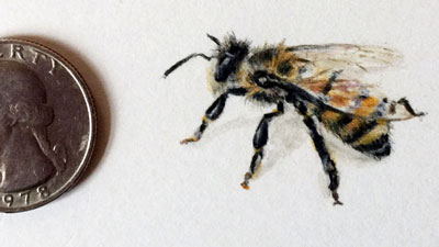 创建一个超级小画