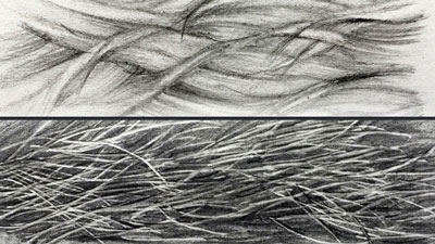 如何画动物皮毛