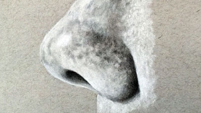 如何画鼻子从概要视图