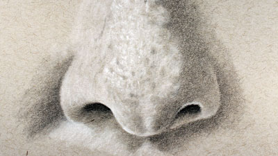 如何画鼻子从正面来看