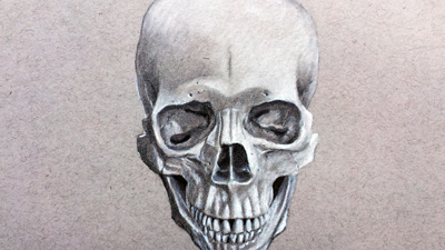 肖像绘画——头骨额观点