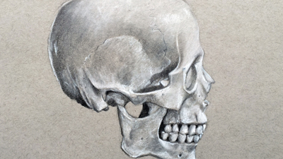 画skull-profile视图