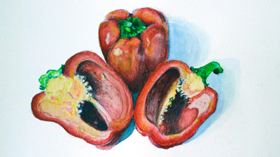 水彩和彩色铅笔的教训