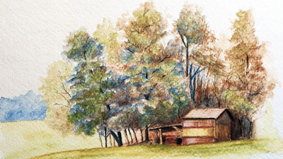 水彩铅笔生活教训