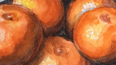 水彩画的教训橘子